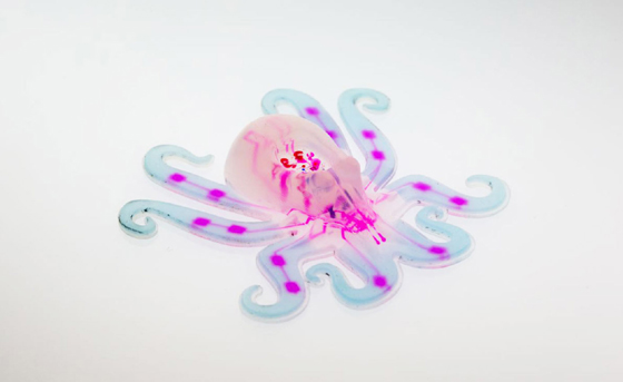 octobot560