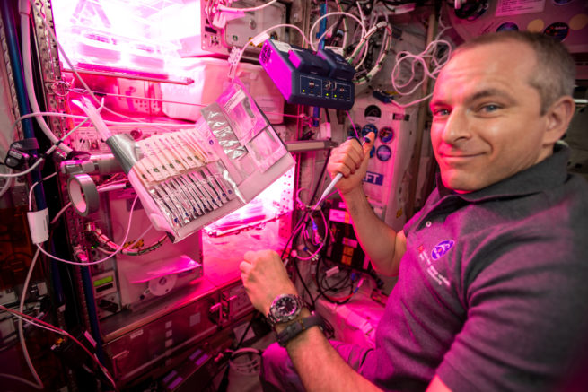 David Saint-Jacques dans la Station spatiale internationale, en train d'utiliser le bioanalyseur.