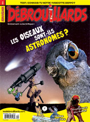 Novembre 2013 – Les oiseaux sont-ils astronomes?