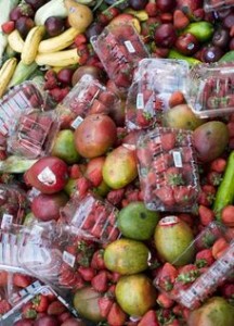 Un trésor dans les poubelles