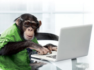 Des chimpanzés jouent aux jeux vidéo
