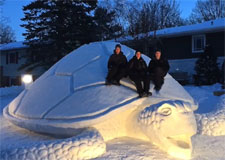 Création d’une tortue des neiges