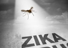 Zika, le virus mystérieux