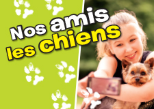 Nos amis les chiens