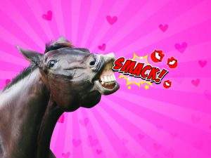 Saint-Valentin animale [Quiz]