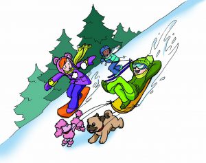 Quel genre de skieur ou planchiste  es-tu?