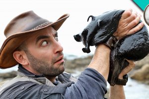 Coyote Peterson : fou de la nature