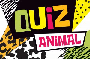 Quiz animal