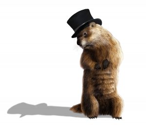 Le Jour de la marmotte : science ou légende ?
