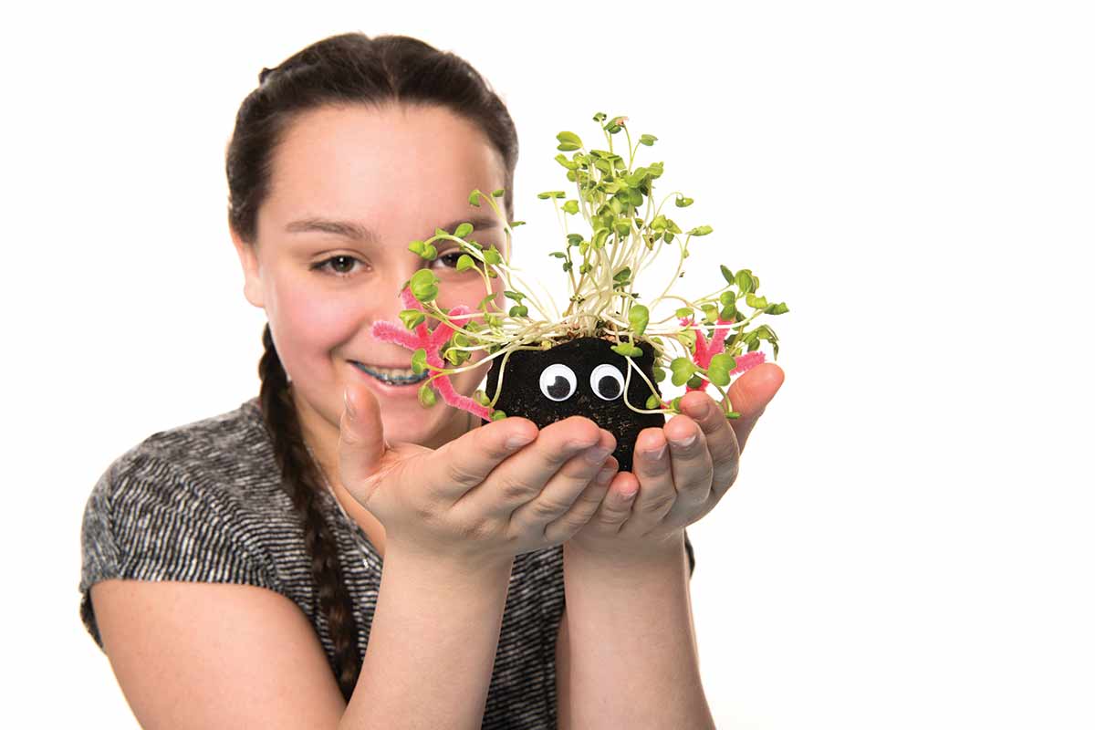 Tête d'herbe amusez vous à faire pousser ses cheveux en gazon un