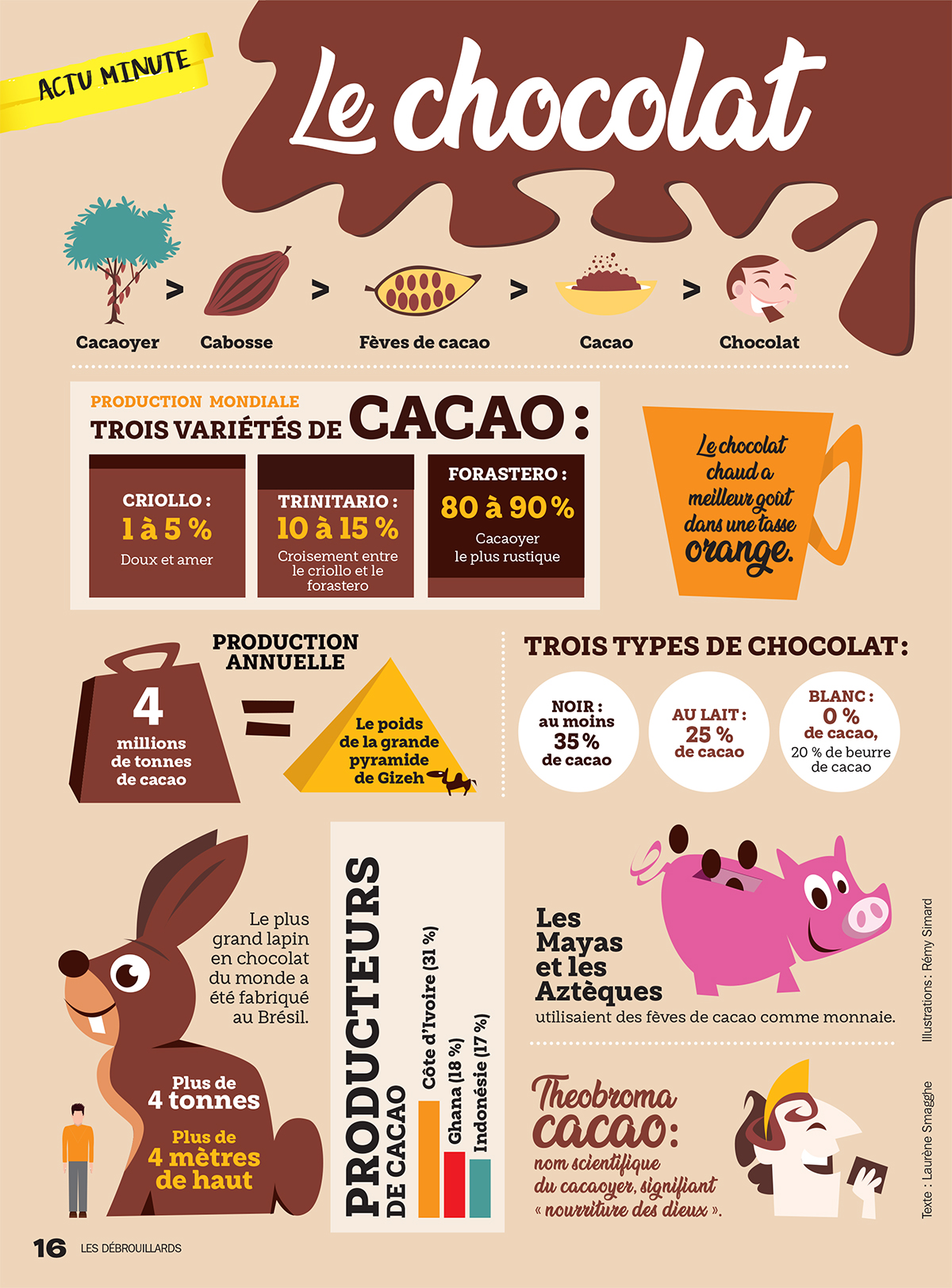 Ce que tu ne savais pas sur le chocolat ! Les Débrouillards