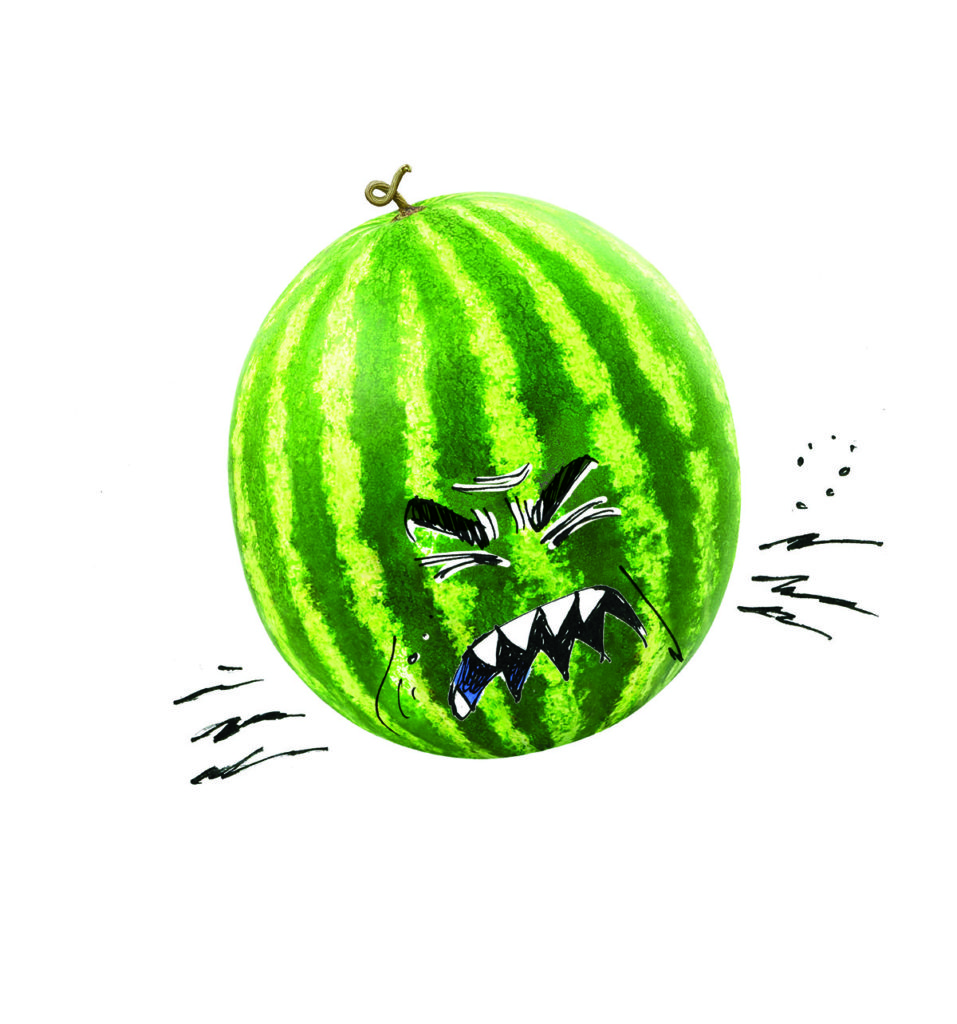 Comment faire exploser un melon d’eau