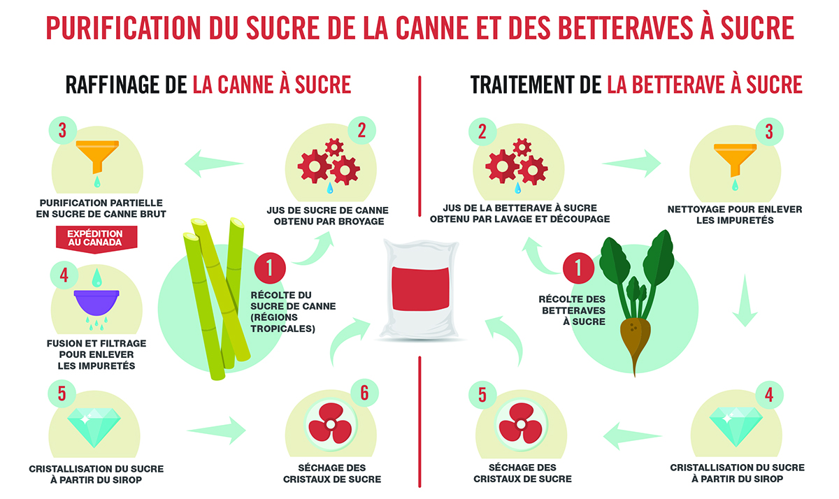 La vérité sur la composition des bonbons : du sucre et… beaucoup