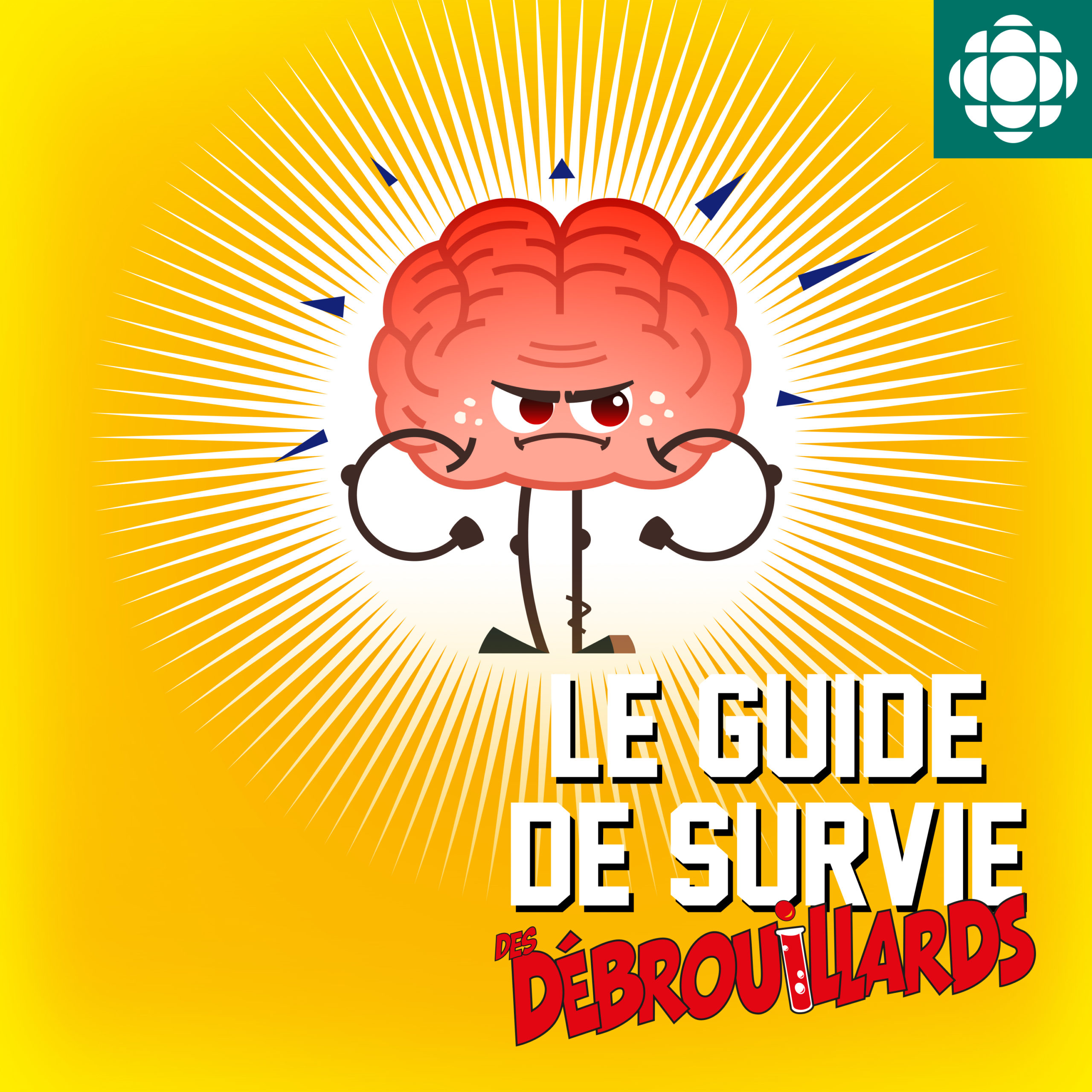 ✏️ Fiche pédagogique balado – Survivre à un échec (même le célébrer)