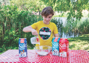 Cuisine une crème glacée végétalienne !