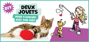 Bricole des jouets pour ton minou !