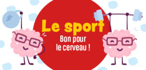 Le sport rend-il le cerveau plus performant ?