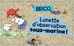 Bricolage de vacances : lunette d’observation sous-marine