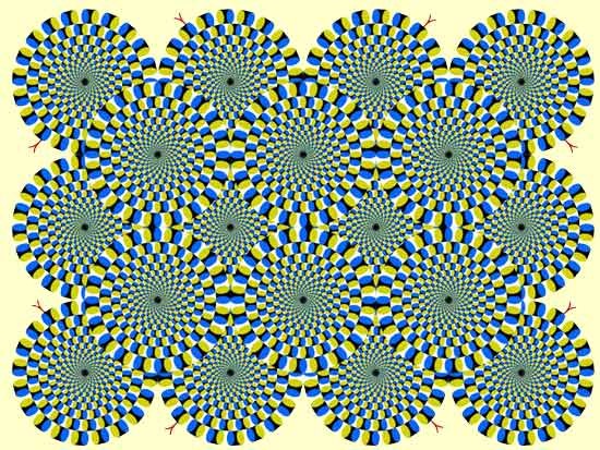 Illusion des ronds qui bougent