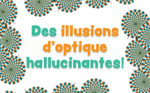 article sur les illusions d'optiques avec exemples
