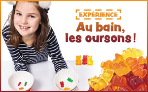 Expérience : comment transformer ses jujubes!