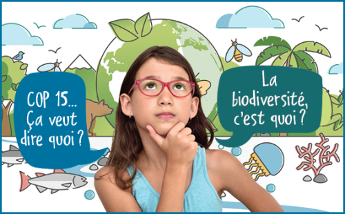 COP15 : parlons biodiversité !
