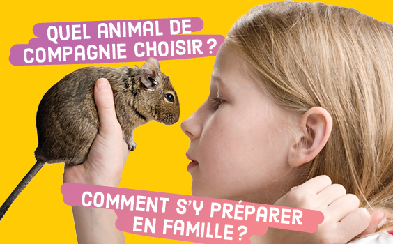 Adopter un animal de compagnie? - Les Débrouillards