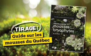 Tirage : Guide sur les mousses du Québec