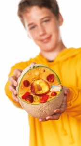 Expérience : Une cellule fruitée!