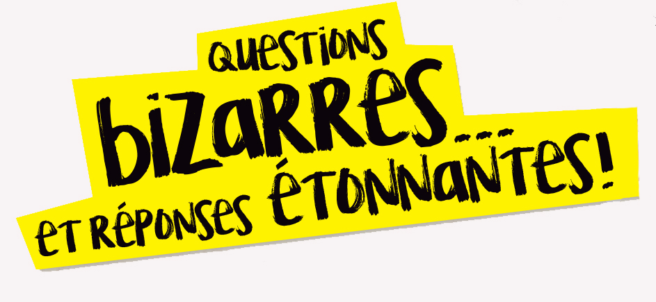 Questions bizarres… réponses étonnantes!