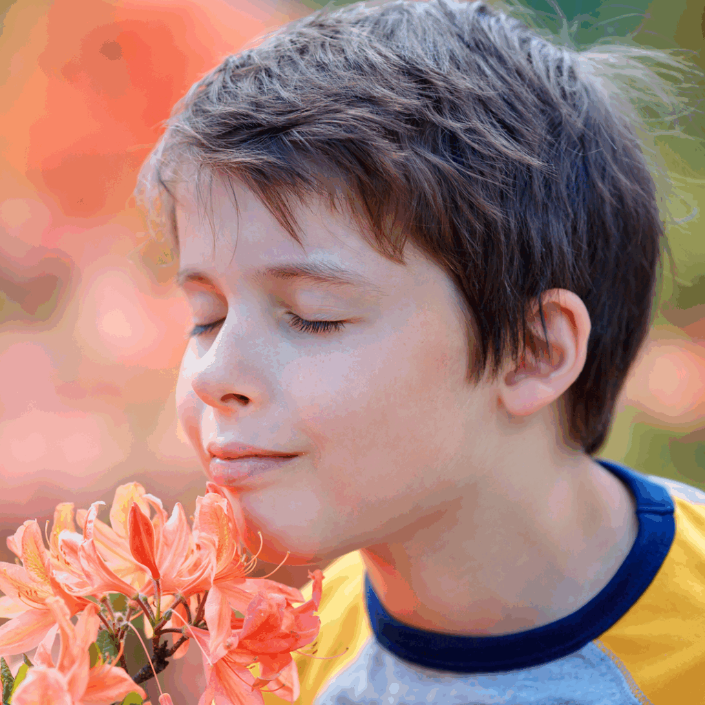 Carnet nature : le safari olfactif!