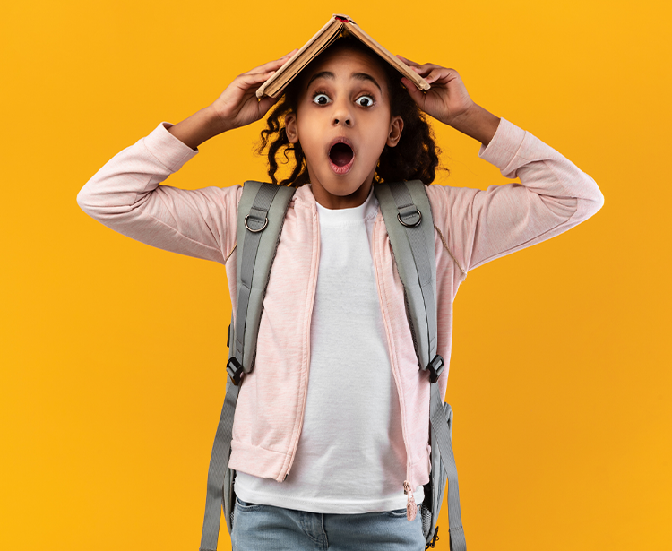 Faits vite fait sur l’école